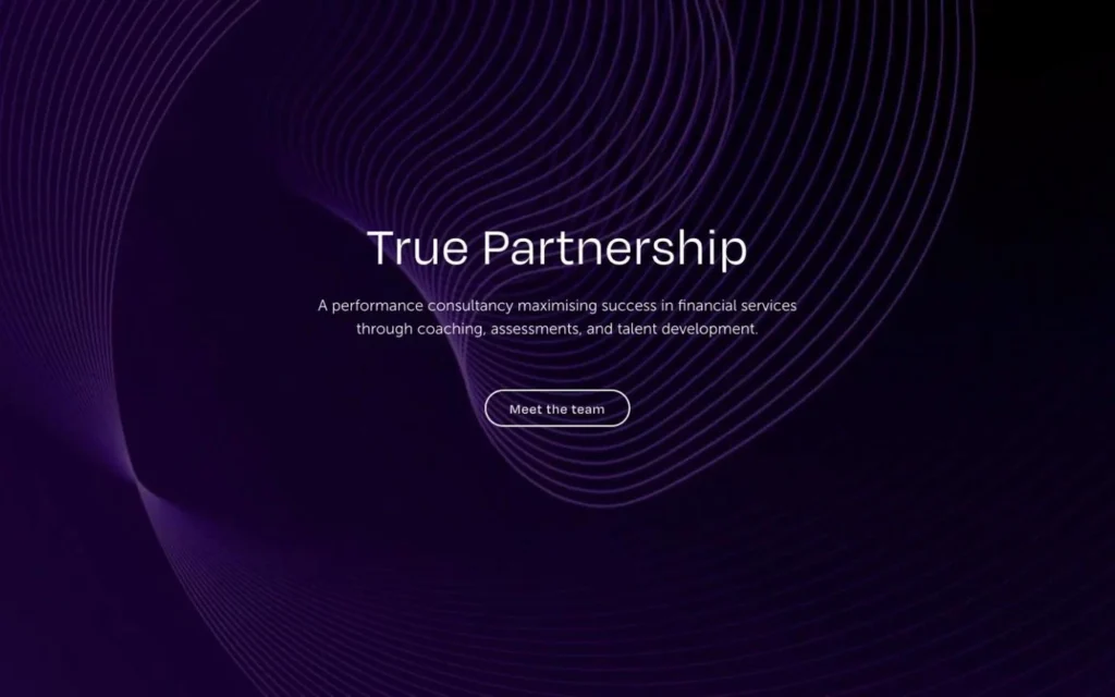 The True Partnership website, designed and built by Rockhopper Digital